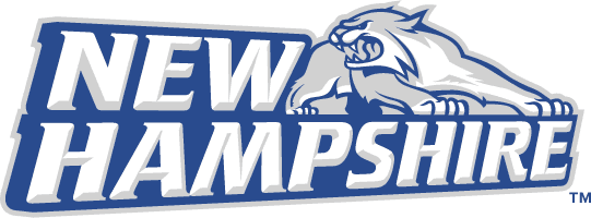 New Hampshire Wildcats 2000-Pres Alternate Logo diy fabric transfer
